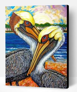 Pelican Birds Art Paint By Number