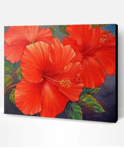 Red Hibiscus Paint By Number