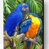 Tropical Macaws Paint By Number