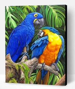 Tropical Macaws Paint By Number