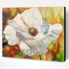White Poppy Anemone Paint By Number