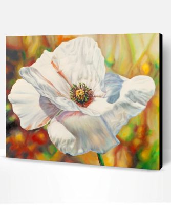 White Poppy Anemone Paint By Number