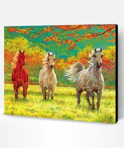 Wild Horses Paint By Number