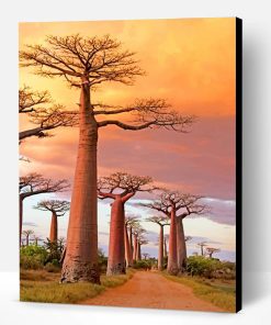 Avenue Of The Baobabs Paint By Number