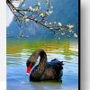 Black Swan Bird Paint By Number