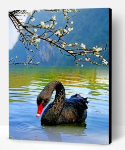 Black Swan Bird Paint By Number