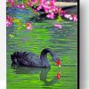 Black Swan Paint By Number