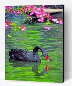 Black Swan Paint By Number