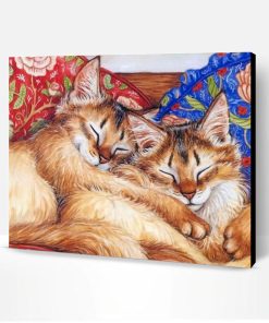 Cats Sleeping Paint By Number