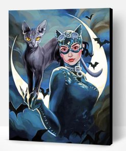 Catwoman Paint By Number