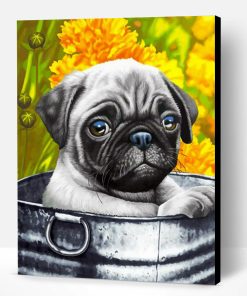 Cute Pug Paint By Number