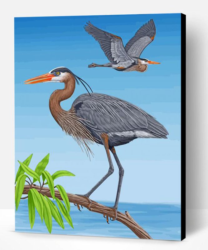 Great Blue Heron Birds Paint By Number