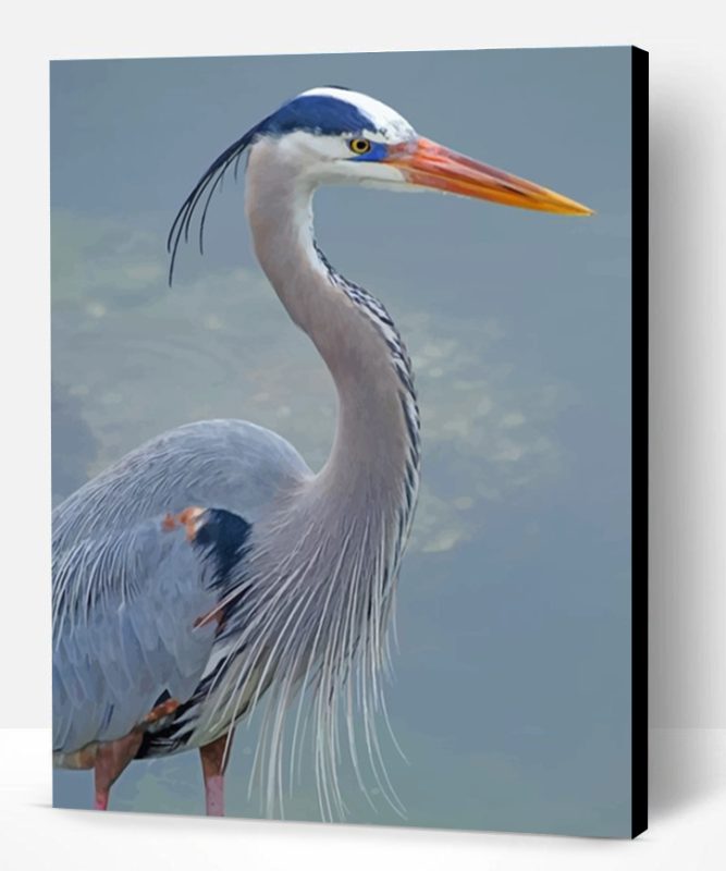 Great Blue Heron Paint By Number