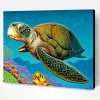 Loggerhead Sea Turtle Paint By Number