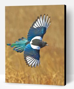 Magpie Bird Paint By Number