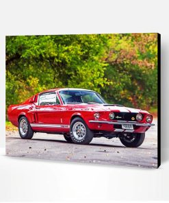 Red Ford GT 500 Paint By Number