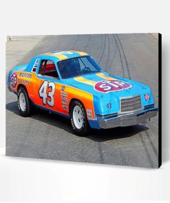 Richard Petty Race Car Paint By Number