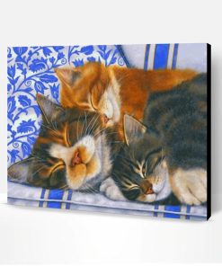 Sleepy Cats Paint By Number