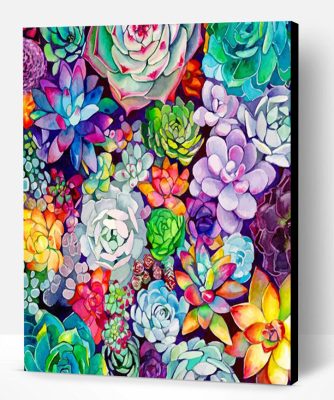 Succulents Plants Paint By Number