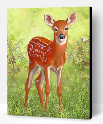 White Tailed Deer Paint By Number