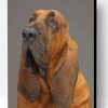 Bloodhound Paint By Number