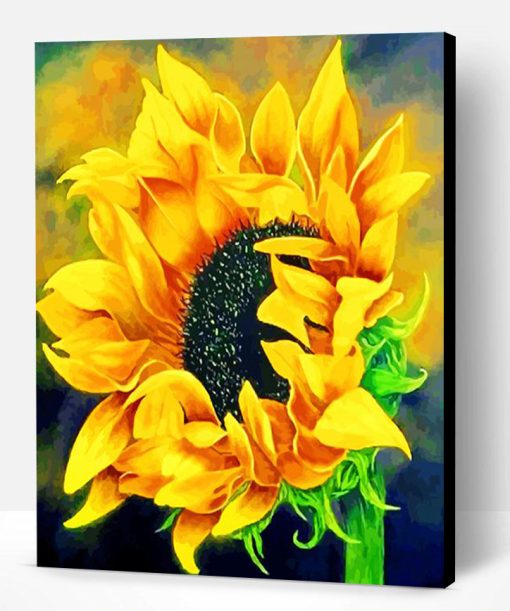 Blooming Sunflower Paint By Number