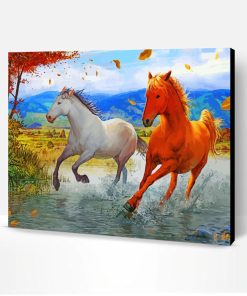 Brown And White Horses Paint By Number