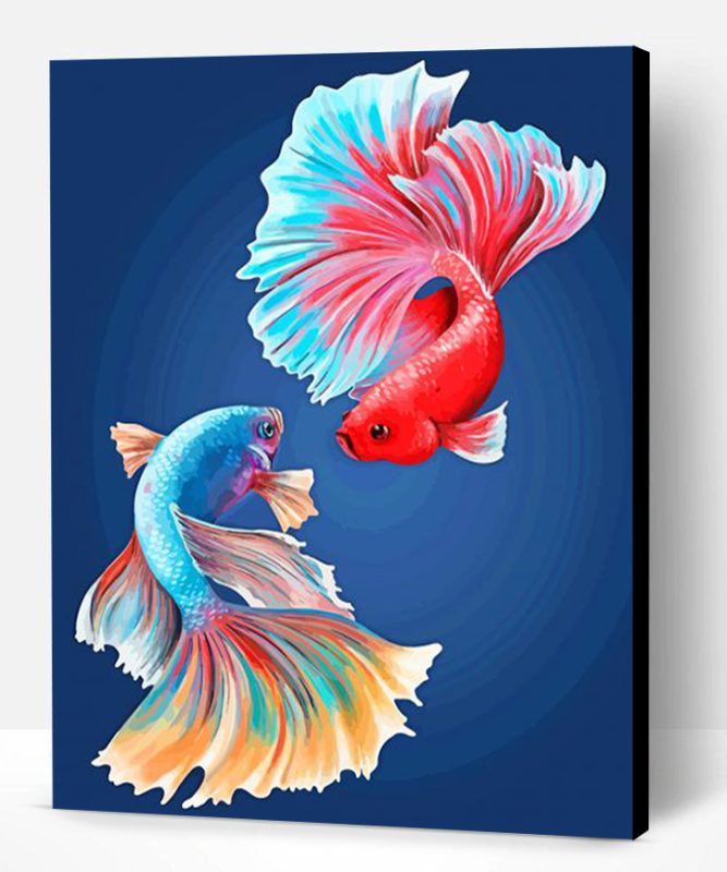 Fighter Fish Paint By Number