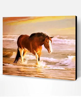 Horse In Sea Paint By Number