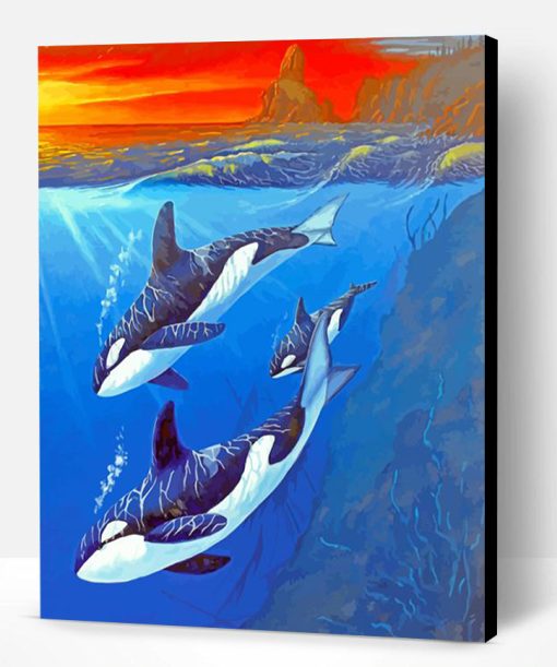 Killer Whale Underwater Paint By Number