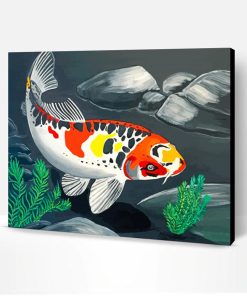 Koi Carp Fish Paint By Number