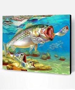 Striper Fish Underwater Paint By Number