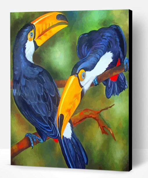 Toucans Birds Paint By Number