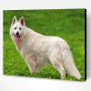 White Shepherd Paint By Number