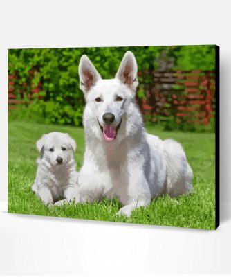 White Shepherd Dogs Paint By Number