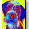 Wirehaired Pointing Griffon Dog Paint By Number