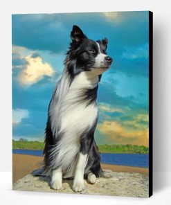 Aesthetic Border Collie Paint By Number
