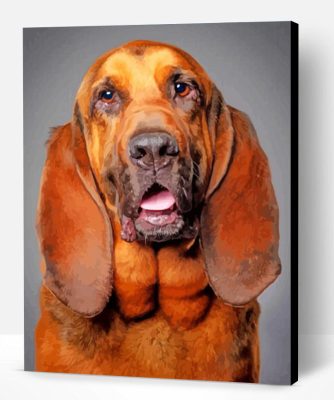 Bloodhound Dog Paint By Number