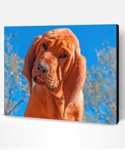 Bloodhound Dog Paint By Number