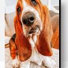 Cute Bloodhound Paint By Number