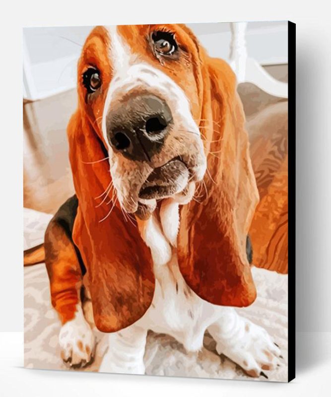 Cute Bloodhound Paint By Number