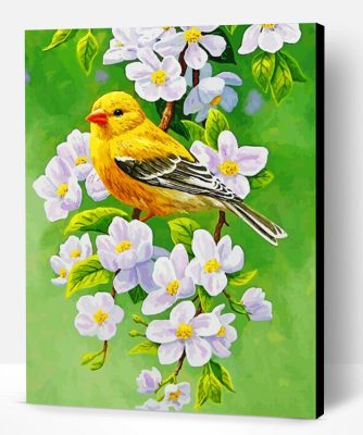 Goldfinch Blossoms Bird Paint By Number