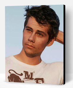 Handsome Dylan O Brien Paint By Number
