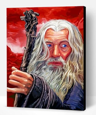 Gandalf Lord Of The Rings Paint By Number