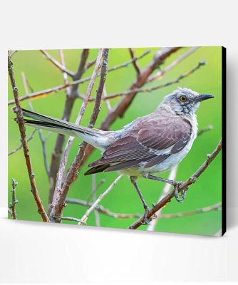 Northern Mockingbird Paint By Number