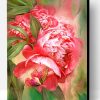 Peony And Butterfly Paint By Number