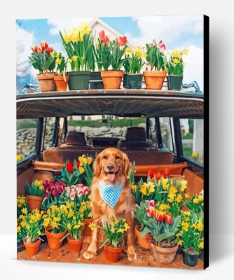 Retriever And Plants Paint By Number