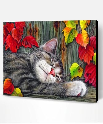 Sleepy Cat Paint By Number