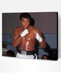Mohammad Ali The Boxer Paint By Number
