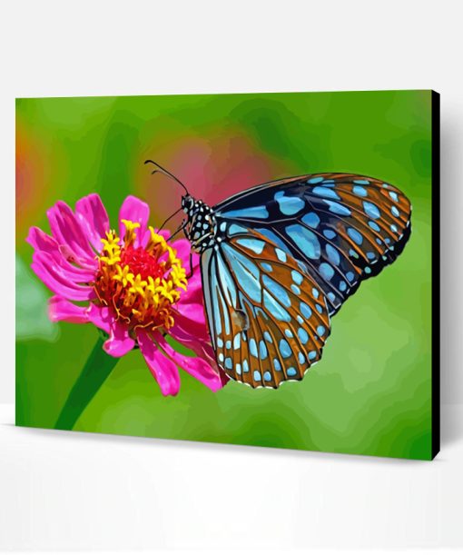 Blue Butterfly On Flower Paint By Number